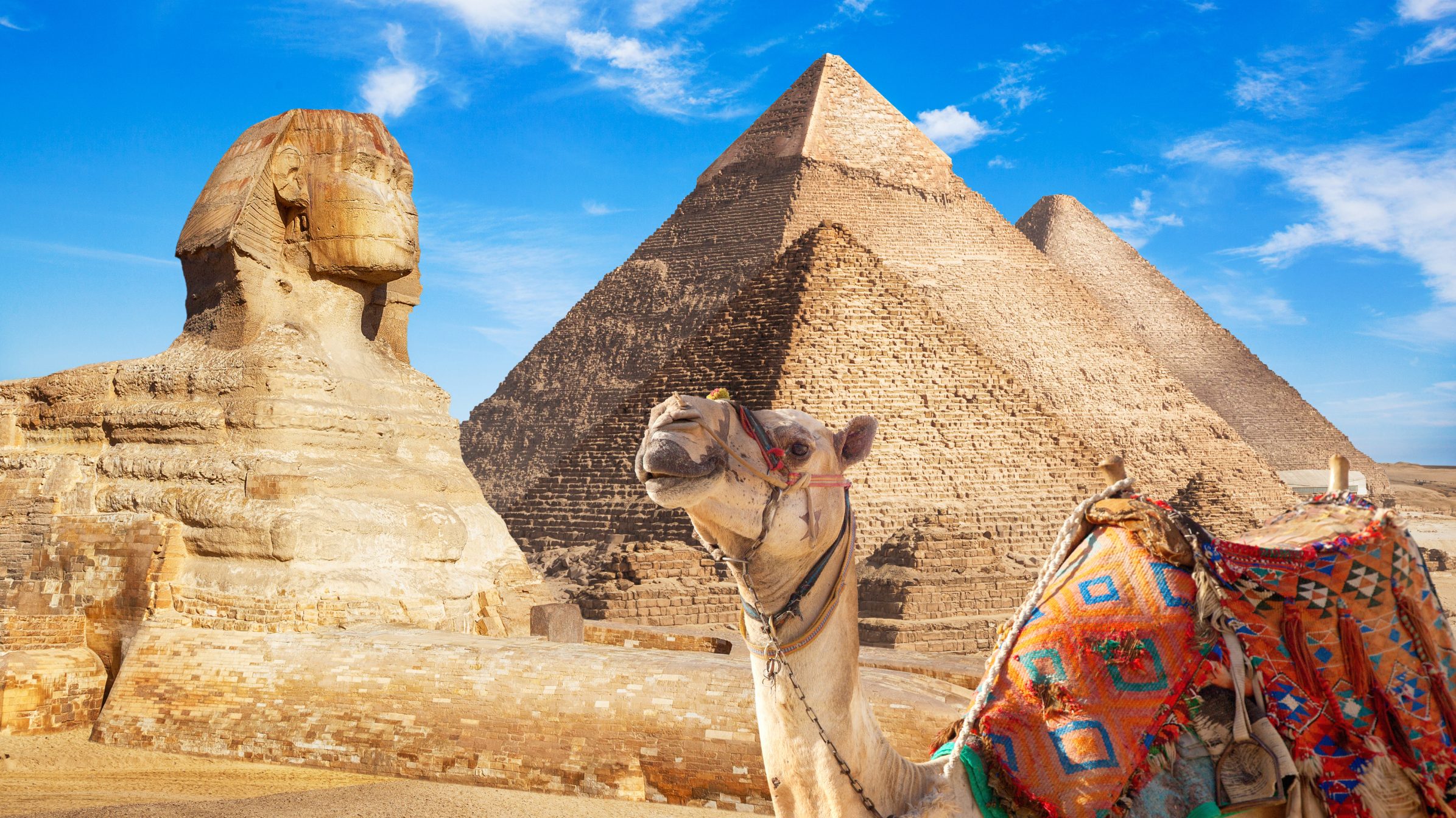 Royeli Destination Tour